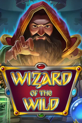 Игровой автомат Wizard of the Wild демо версия онлайн | Казино Azino777